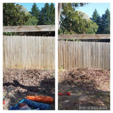 Soft Wash Fence Cleaning Charlotte, NC 2
